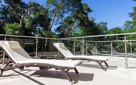 Hotel Z-hotel Business &