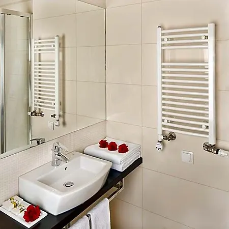 Z-hotel Business &